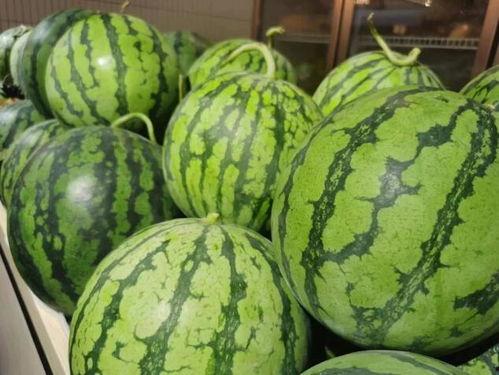 星宇暖阳吃瓜,揭秘娱乐圈的甜蜜瓜田